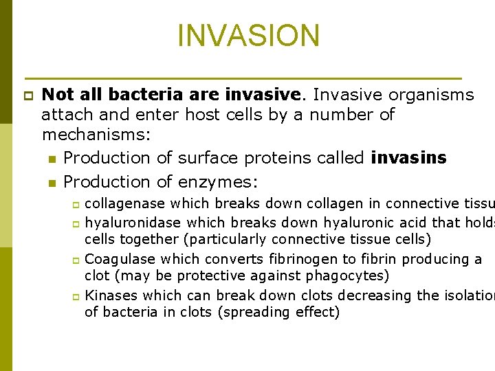 INVASION p Not all bacteria are invasive. Invasive organisms attach and enter host cells