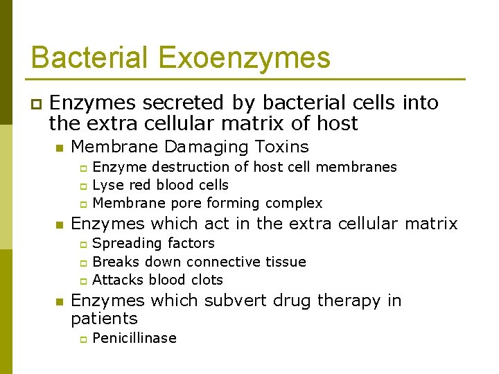 Bacterial Exoenzymes p Enzymes secreted by bacterial cells into the extra cellular matrix of