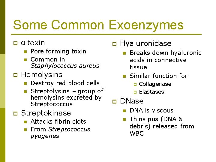 Some Common Exoenzymes p α toxin n n p Pore forming toxin Common in