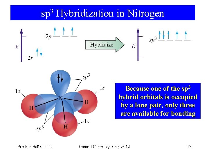 sp 3 Hybridization in Nitrogen Because one of the sp 3 hybrid orbitals is sp 3 Hybridization in Nitrogen Because one of the sp 3 hybrid orbitals is