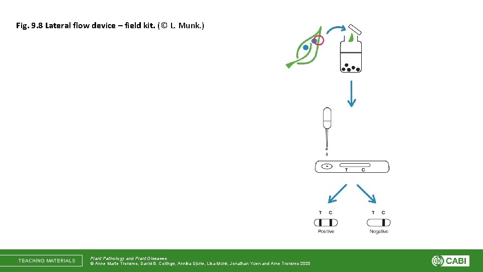 Fig. 9. 8 Lateral flow device – field kit. (© L. Munk. ) TEACHING