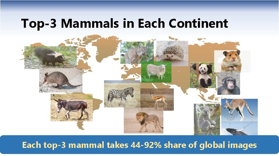 Top-3 Mammals in Each Continent Each top-3 mammal takes 44 -92% share of global