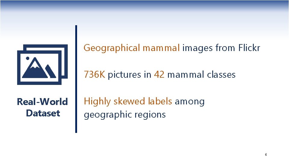 Geographical mammal images from Flickr 736 K pictures in 42 mammal classes Real-World Dataset