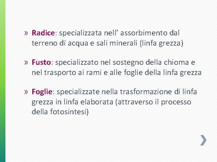 » Radice: specializzata nell’ assorbimento dal terreno di acqua e sali minerali (linfa grezza) » Radice: specializzata nell’ assorbimento dal terreno di acqua e sali minerali (linfa grezza)