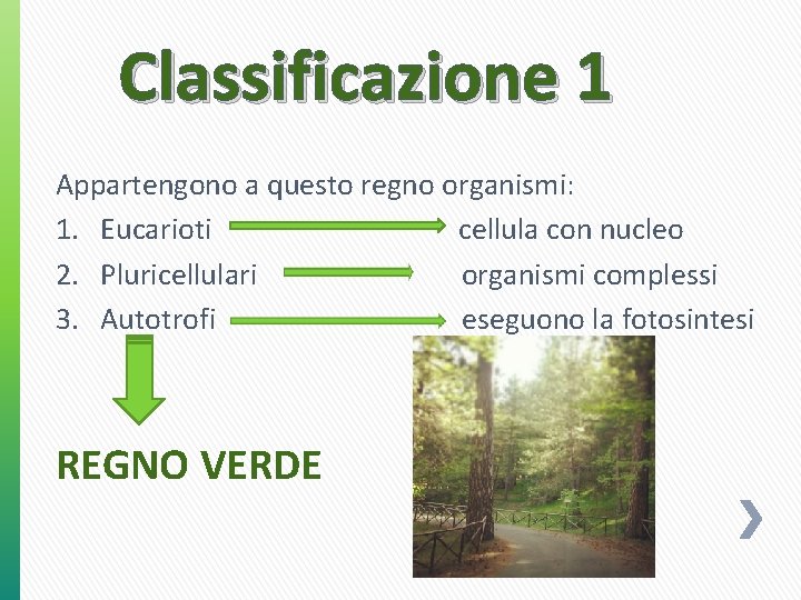 Classificazione 1 Appartengono a questo regno organismi: 1. Eucarioti cellula con nucleo 2. Pluricellulari Classificazione 1 Appartengono a questo regno organismi: 1. Eucarioti cellula con nucleo 2. Pluricellulari