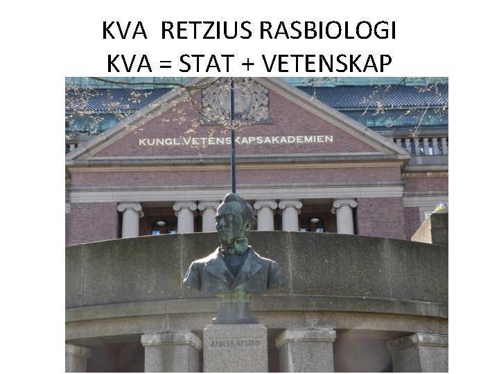 KVA RETZIUS RASBIOLOGI KVA = STAT + VETENSKAP 