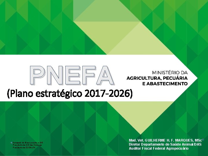 PNEFA (Plano estratégico 2017 -2026) Delegado do Brasil perante a OIE Presidente da OIE