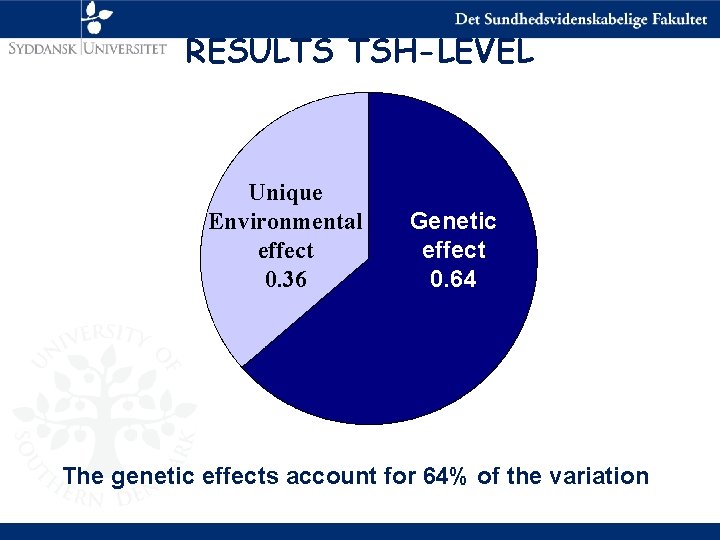 RESULTS TSH-LEVEL Unique Environmental effect 0. 36 Genetic effect 0. 64 The genetic effects