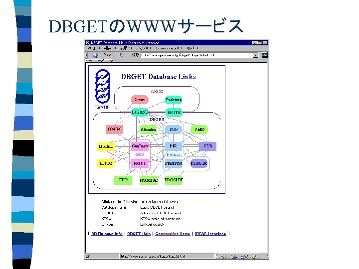 DBGETのWWWサービス 