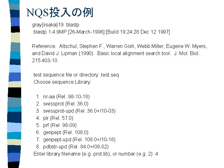 NQS投入の例 gray{iisaka}19: blastp 1. 4. 9 MP [26 -March-1996] [Build 19: 24: 28 Dec
