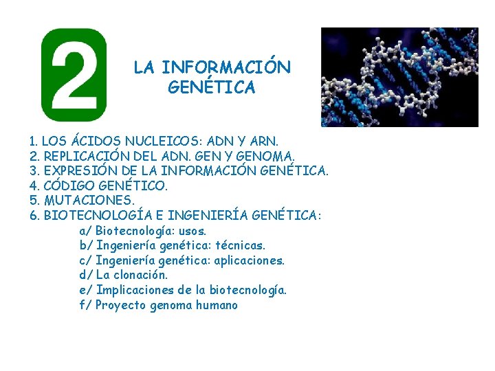 LA INFORMACIÓN GENÉTICA 1. LOS ÁCIDOS NUCLEICOS: ADN Y ARN. 2. REPLICACIÓN DEL ADN.