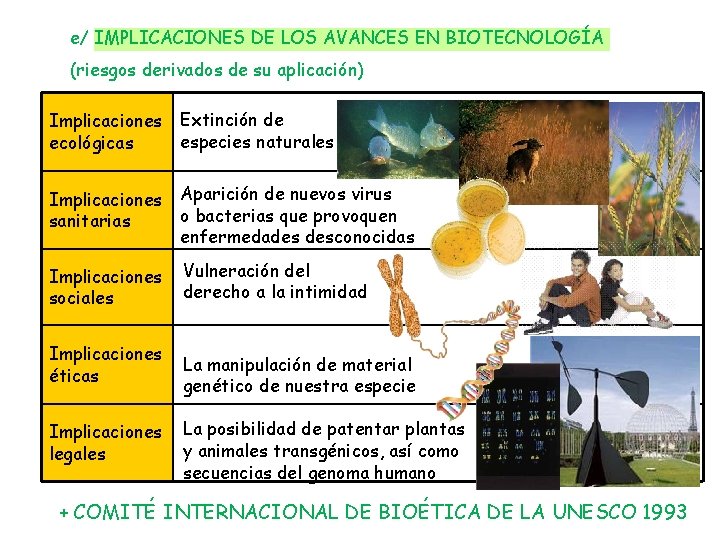 e/ IMPLICACIONES DE LOS AVANCES EN BIOTECNOLOGÍA (riesgos derivados de su aplicación) Implicaciones Extinción