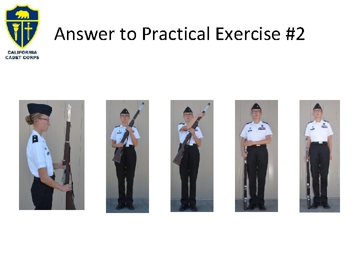 Answer to Practical Exercise #2 