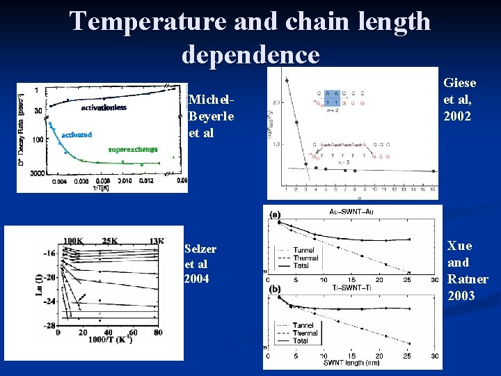 Temperature and chain length dependence Michel. Beyerle et al Selzer et al 2004 Giese