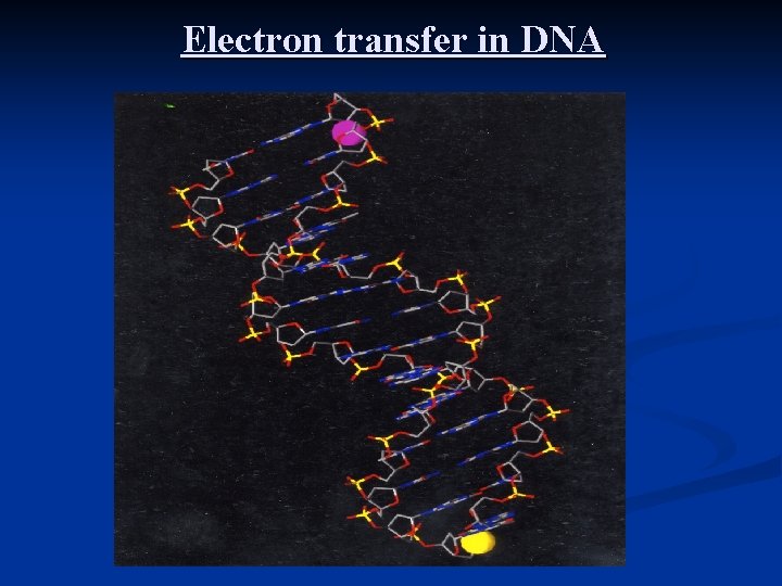 Electron transfer in DNA 