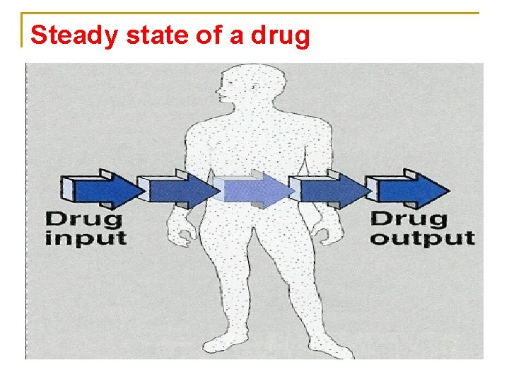 Steady state of a drug 