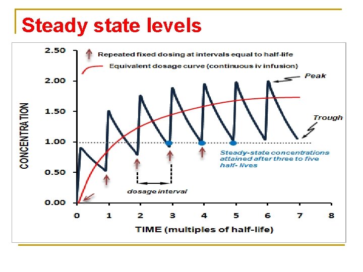 Steady state levels 