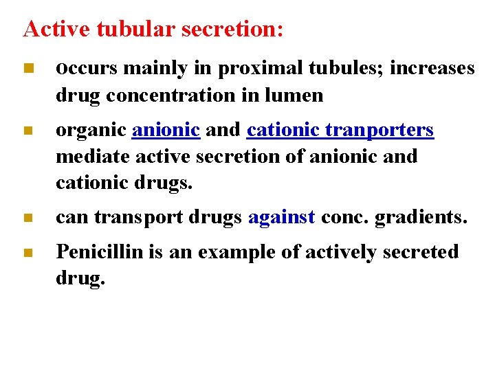 Active tubular secretion: n occurs mainly in proximal tubules; increases drug concentration in lumen