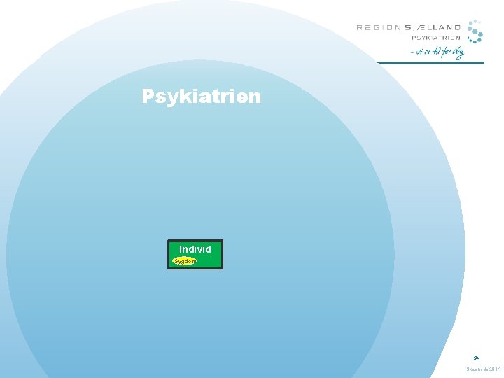 Psykiatrien Patient Individ Sygdom 52 Skadhede 2014 