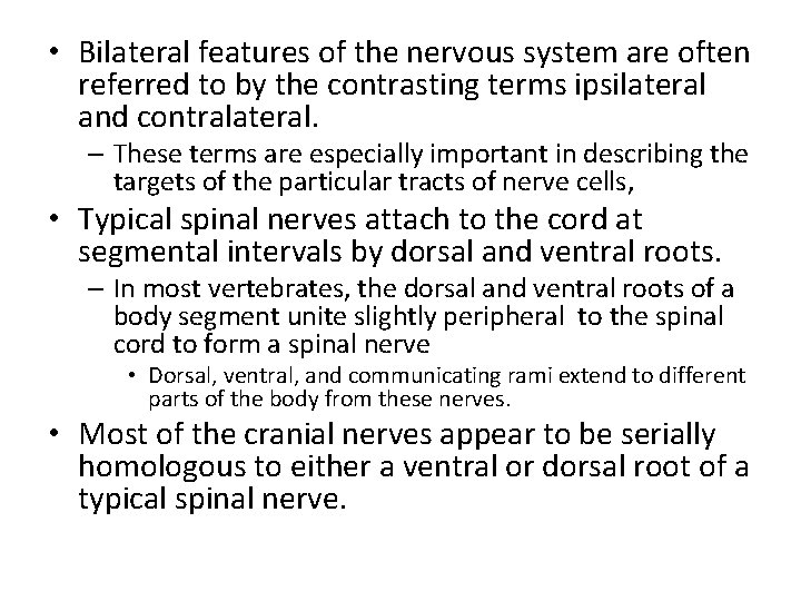  • Bilateral features of the nervous system are often referred to by the