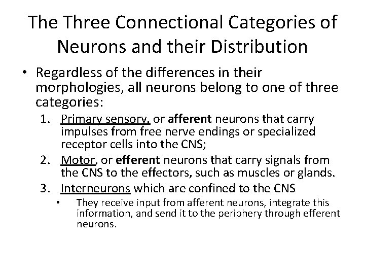 The Three Connectional Categories of Neurons and their Distribution • Regardless of the differences