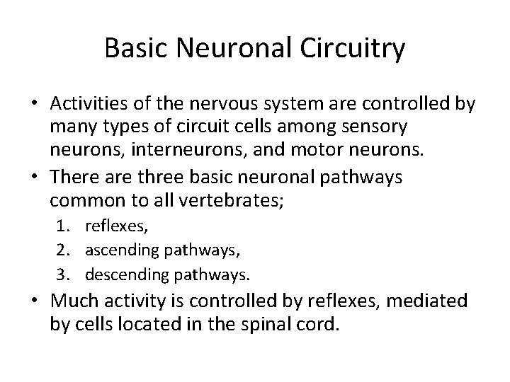 Basic Neuronal Circuitry • Activities of the nervous system are controlled by many types