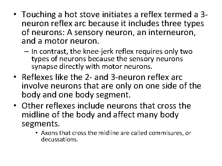  • Touching a hot stove initiates a reflex termed a 3 neuron reflex