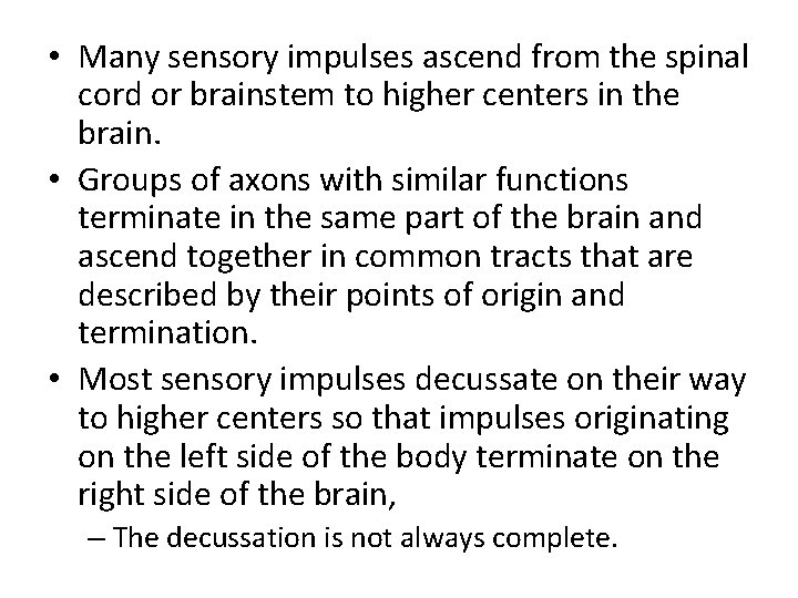  • Many sensory impulses ascend from the spinal cord or brainstem to higher