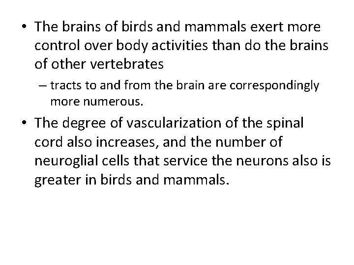  • The brains of birds and mammals exert more control over body activities