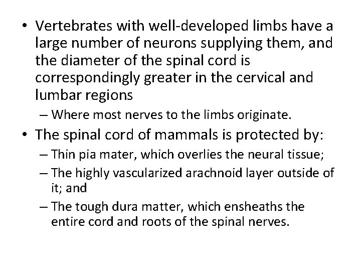  • Vertebrates with well-developed limbs have a large number of neurons supplying them,