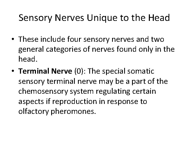 Sensory Nerves Unique to the Head • These include four sensory nerves and two