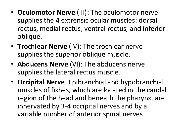  • Oculomotor Nerve (III): The oculomotor nerve supplies the 4 extrensic ocular muscles:
