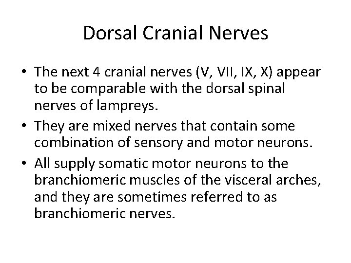 Dorsal Cranial Nerves • The next 4 cranial nerves (V, VII, IX, X) appear