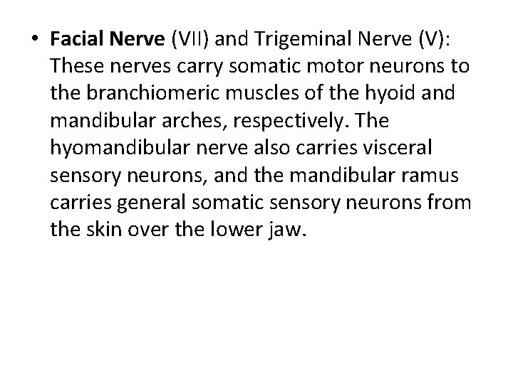  • Facial Nerve (VII) and Trigeminal Nerve (V): These nerves carry somatic motor