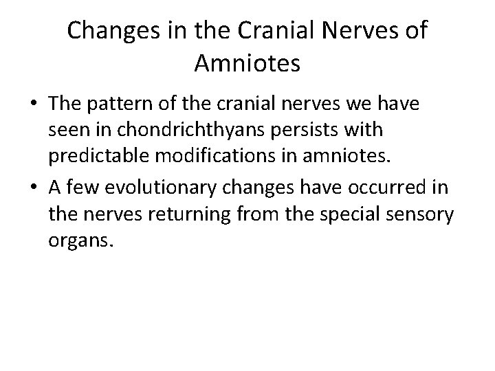 Changes in the Cranial Nerves of Amniotes • The pattern of the cranial nerves
