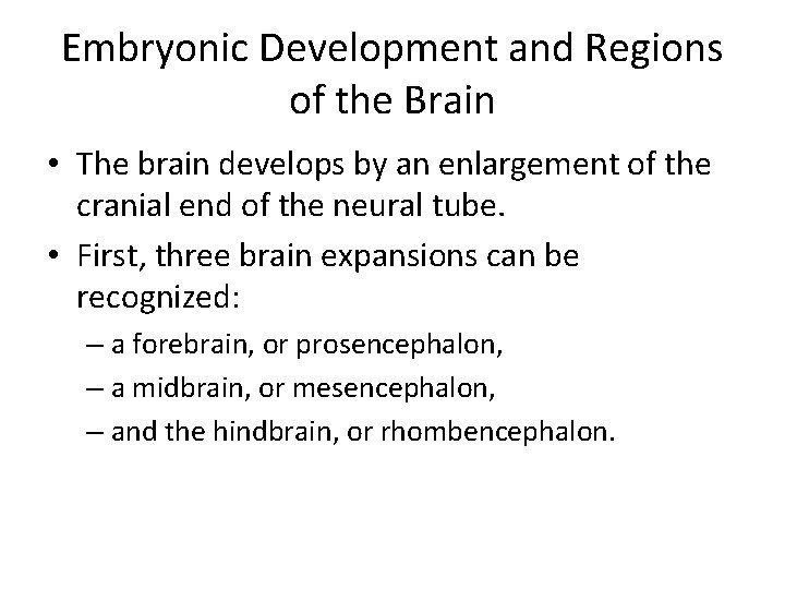 Embryonic Development and Regions of the Brain • The brain develops by an enlargement