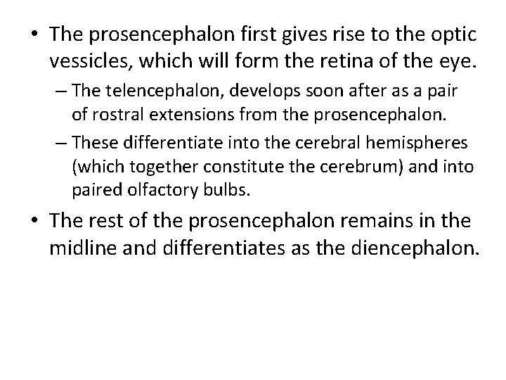  • The prosencephalon first gives rise to the optic vessicles, which will form