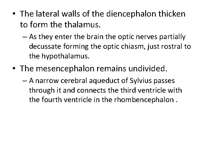  • The lateral walls of the diencephalon thicken to form the thalamus. –