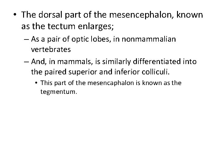  • The dorsal part of the mesencephalon, known as the tectum enlarges; –