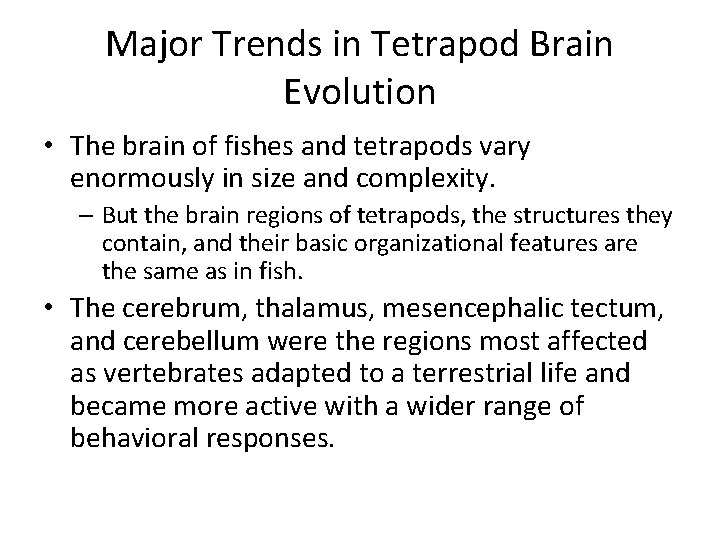 Major Trends in Tetrapod Brain Evolution • The brain of fishes and tetrapods vary