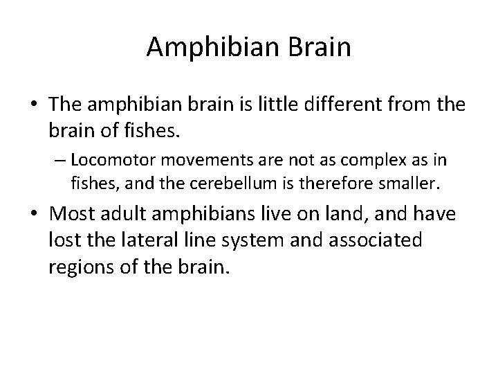 Amphibian Brain • The amphibian brain is little different from the brain of fishes.