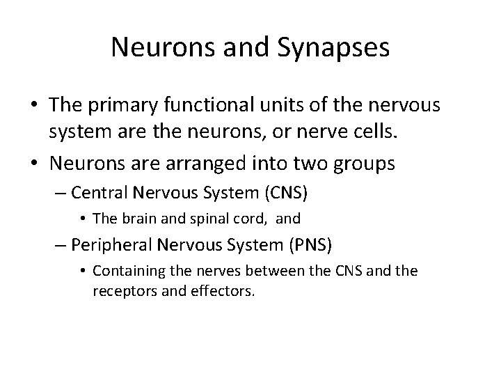 Neurons and Synapses • The primary functional units of the nervous system are the