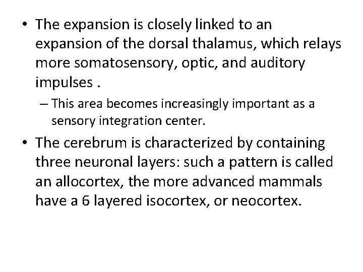  • The expansion is closely linked to an expansion of the dorsal thalamus,