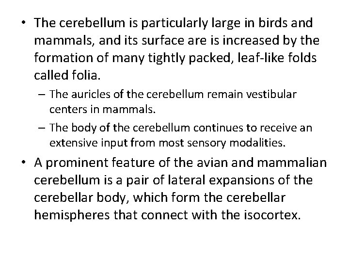  • The cerebellum is particularly large in birds and mammals, and its surface