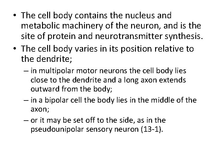  • The cell body contains the nucleus and metabolic machinery of the neuron,