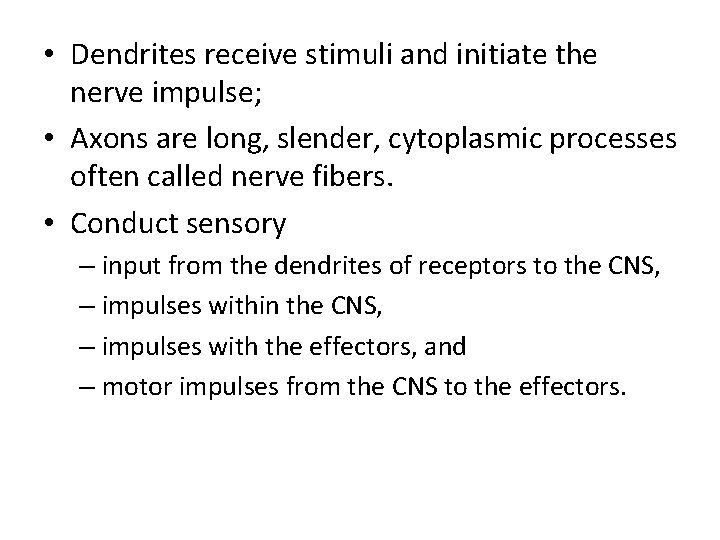  • Dendrites receive stimuli and initiate the nerve impulse; • Axons are long,