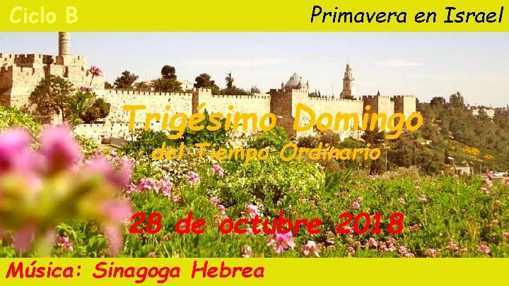 Ciclo B Primavera en Israel Trigésimo Domingo del Tiempo Ordinario 28 de octubre 2018