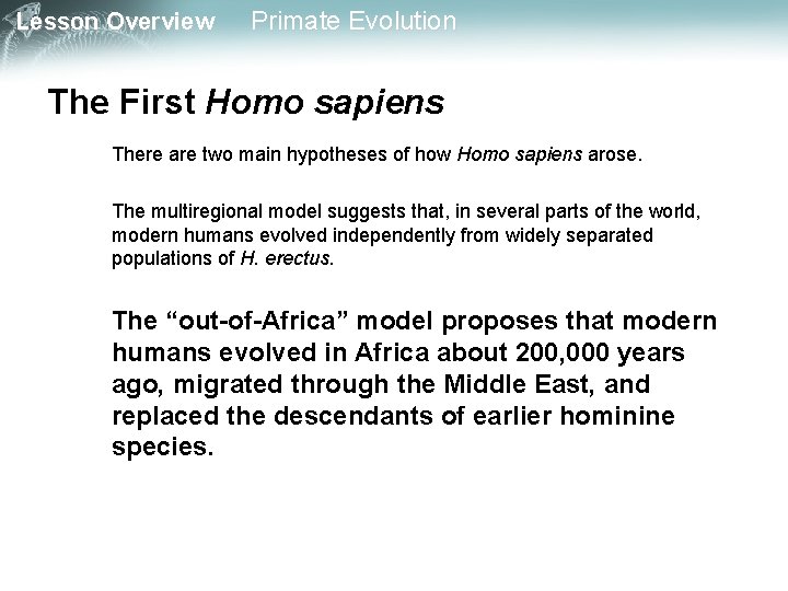 Lesson Overview Primate Evolution The First Homo sapiens There are two main hypotheses of