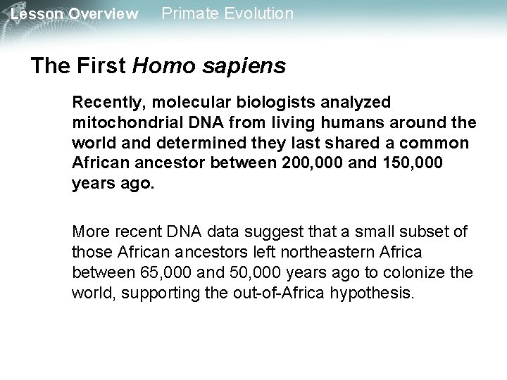 Lesson Overview Primate Evolution The First Homo sapiens Recently, molecular biologists analyzed mitochondrial DNA