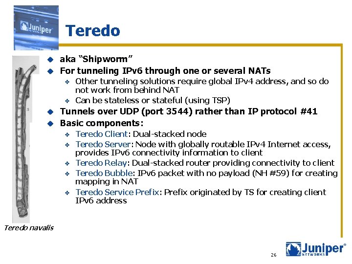 Teredo aka “Shipworm” u For tunneling IPv 6 through one or several NATs u